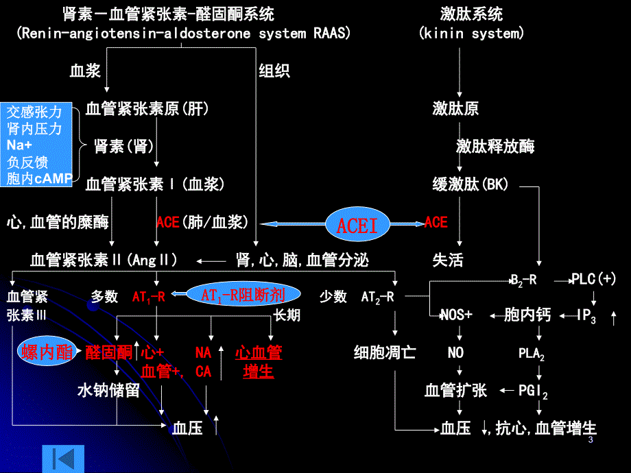 RASS系统药理幻灯片_第3页