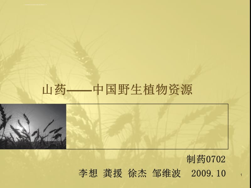 山药――化学成分药理作用医药应用等课件_第1页