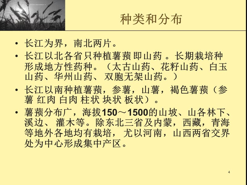 山药――化学成分药理作用医药应用等课件_第4页