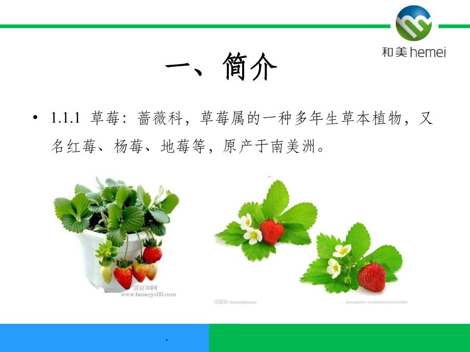 草莓栽培技术ppt课件_第3页