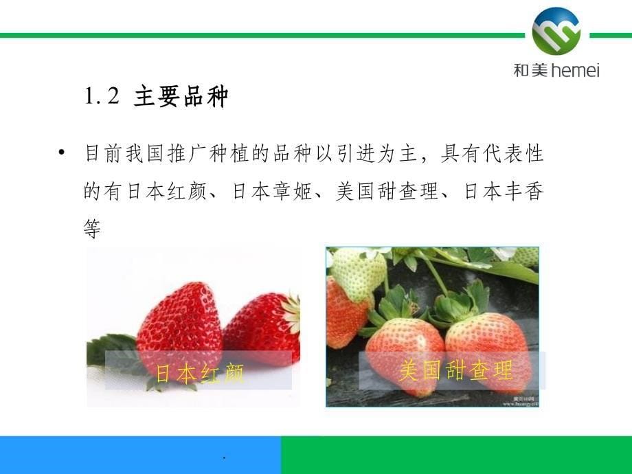 草莓栽培技术ppt课件_第5页
