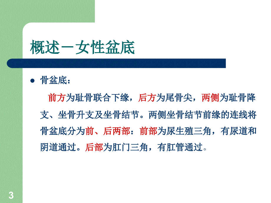 盆底功能障碍性疾病幻灯片_第3页