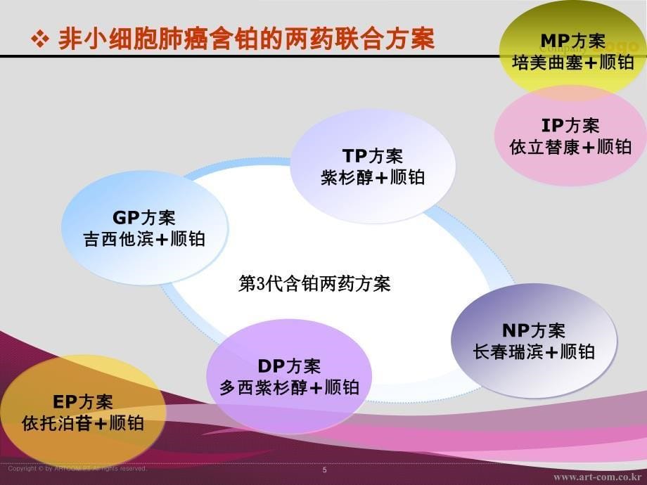 晚期肺癌常用化疗方案介绍演示课件_第5页