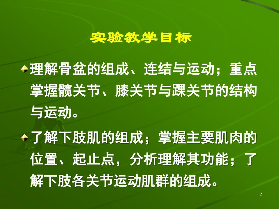 运动人体科学基础实验幻灯片_第2页