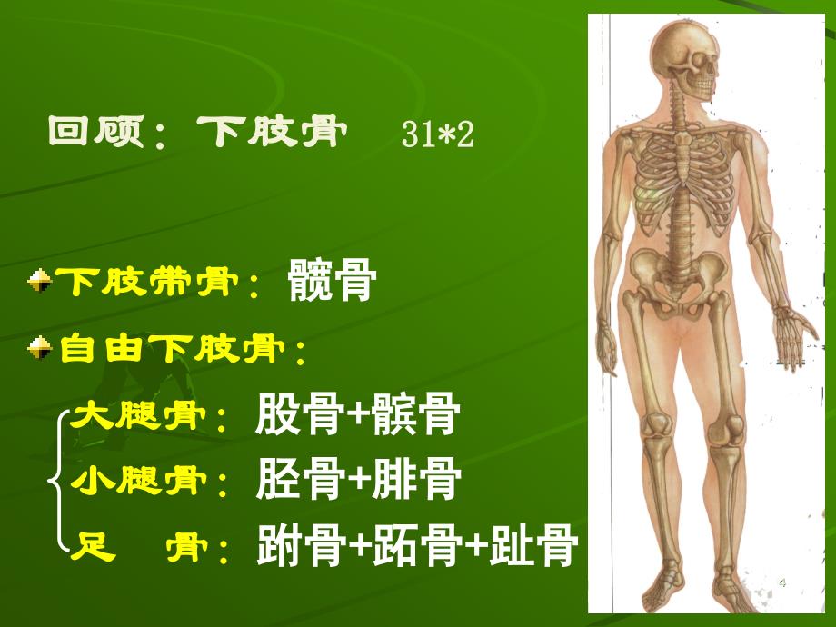 运动人体科学基础实验幻灯片_第4页