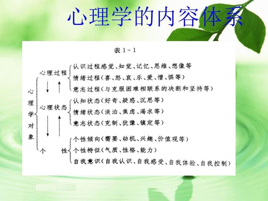 幼儿心理学(总论-东莞教学课件一)_第5页