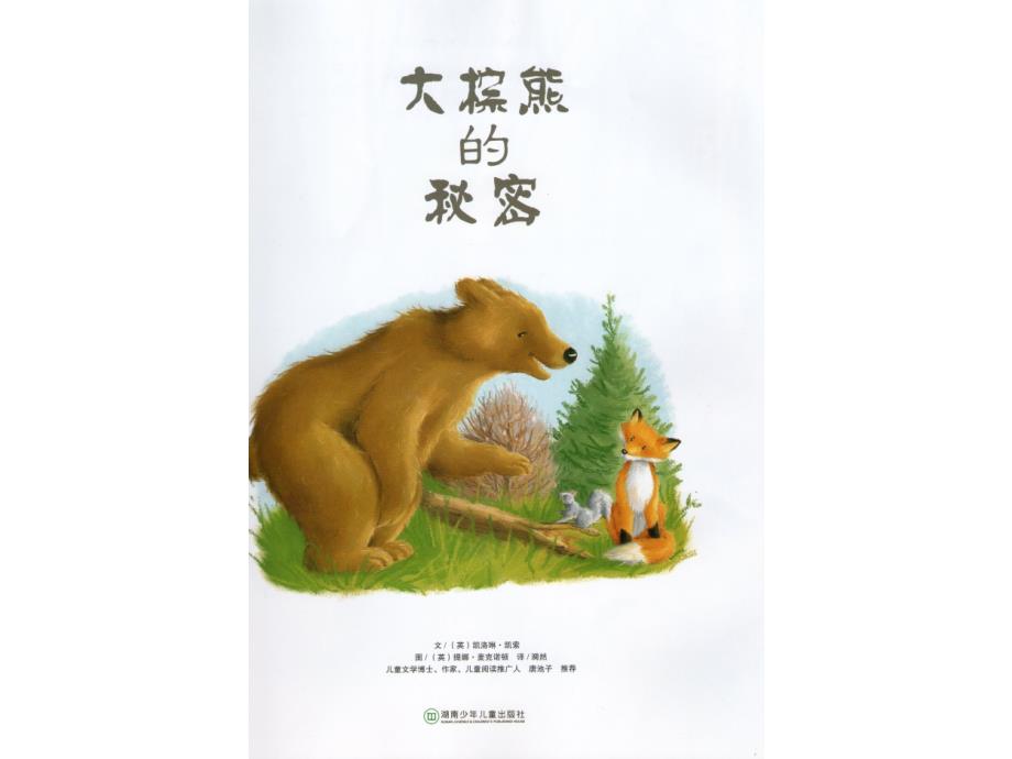 【经典绘本】大棕熊的秘密_第1页
