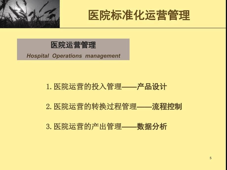 医院标准化运营管理幻灯片_第5页