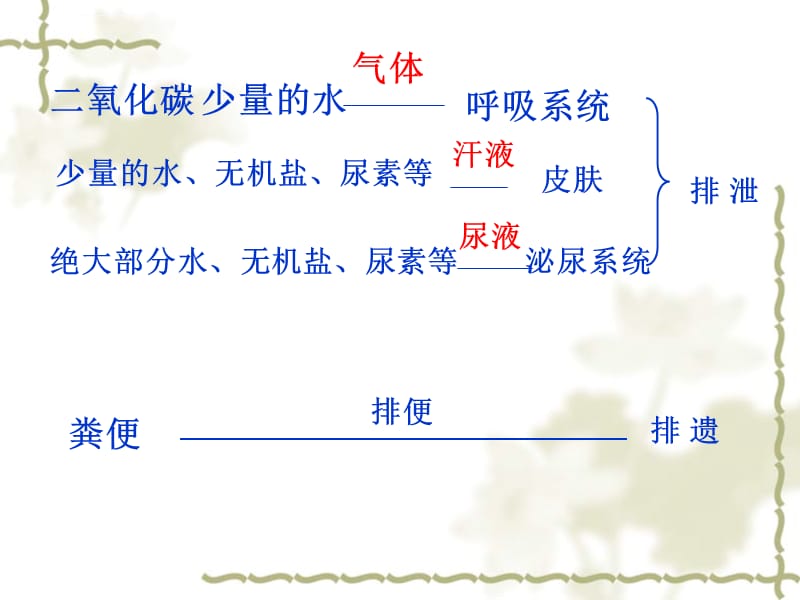 尿的形成和排出精品ppt课件_第3页