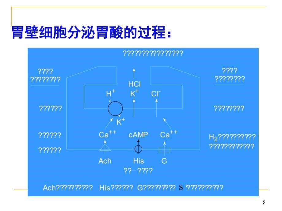 药物化学-消化系统药物PPT参考课件_第5页