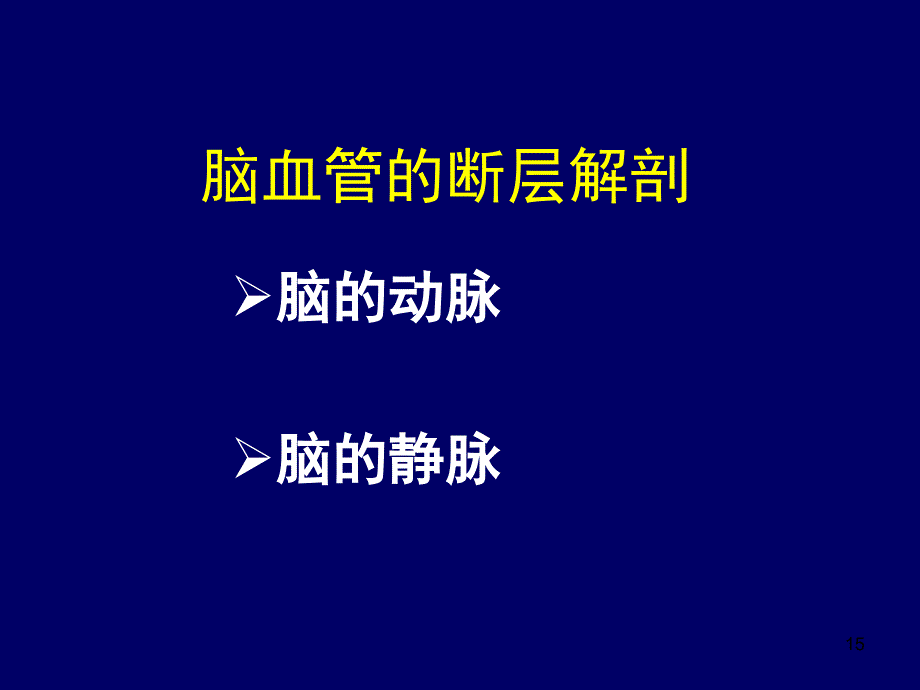 大脑前中后动脉血管分布图幻灯片_第2页