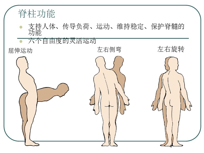 腰椎骨折幻灯片_第4页