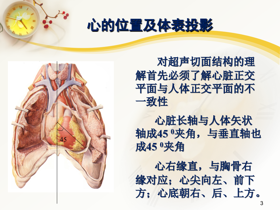 心脏超声常用切面及解剖PPT参考课件_第3页