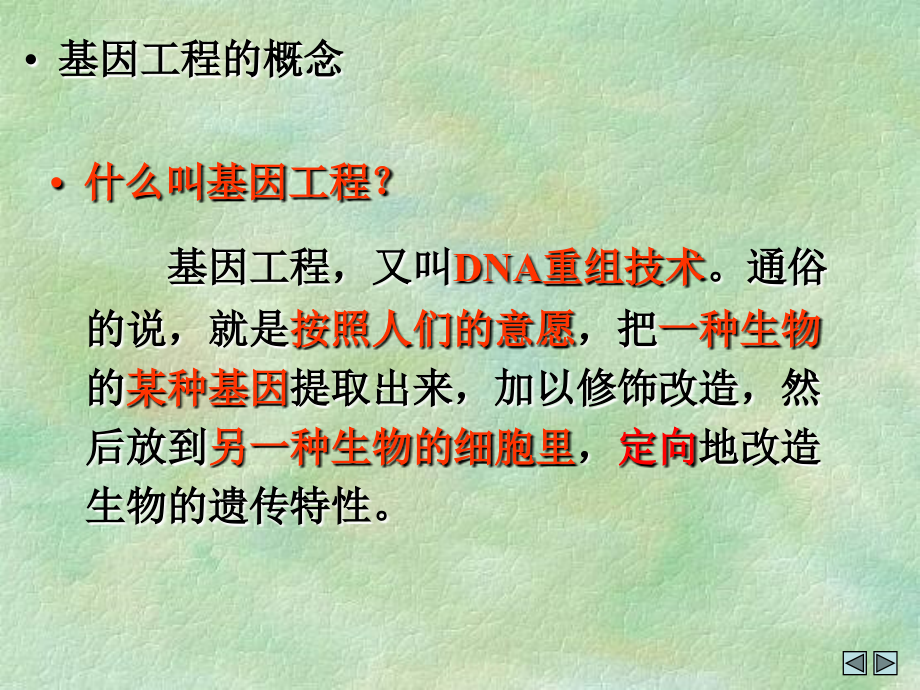 广东生物：《DNA重组技术的基本工具》(新人教选修)课件_第4页