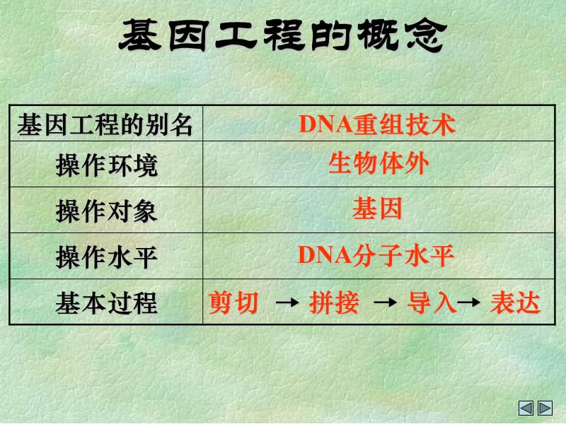 广东生物：《DNA重组技术的基本工具》(新人教选修)课件_第5页