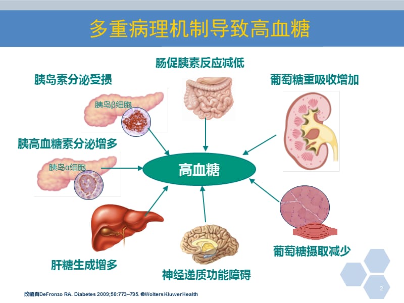 口服降糖药护理(最新)幻灯片_第2页