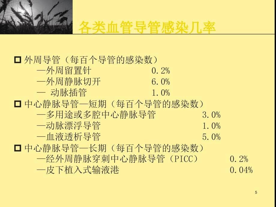 导管相关性血流感染PPT参考课件_第5页