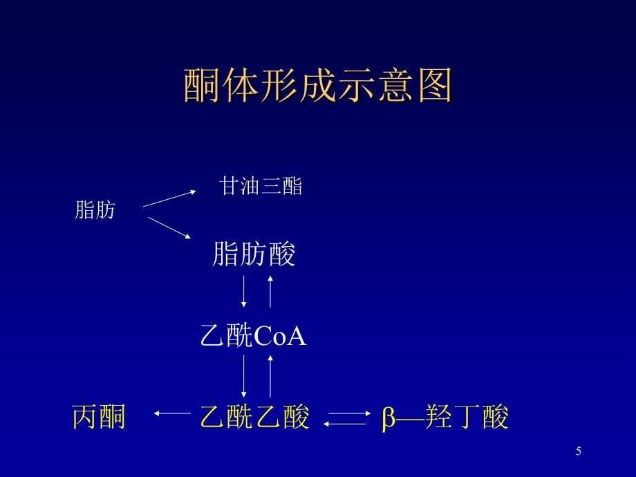 糖尿病急症幻灯片_第5页