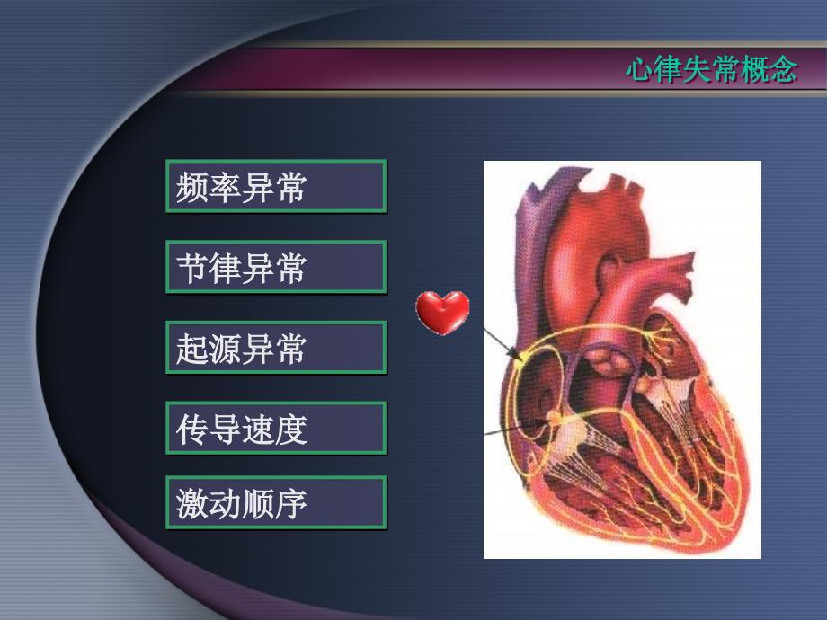 窦性心律幻灯片_第3页