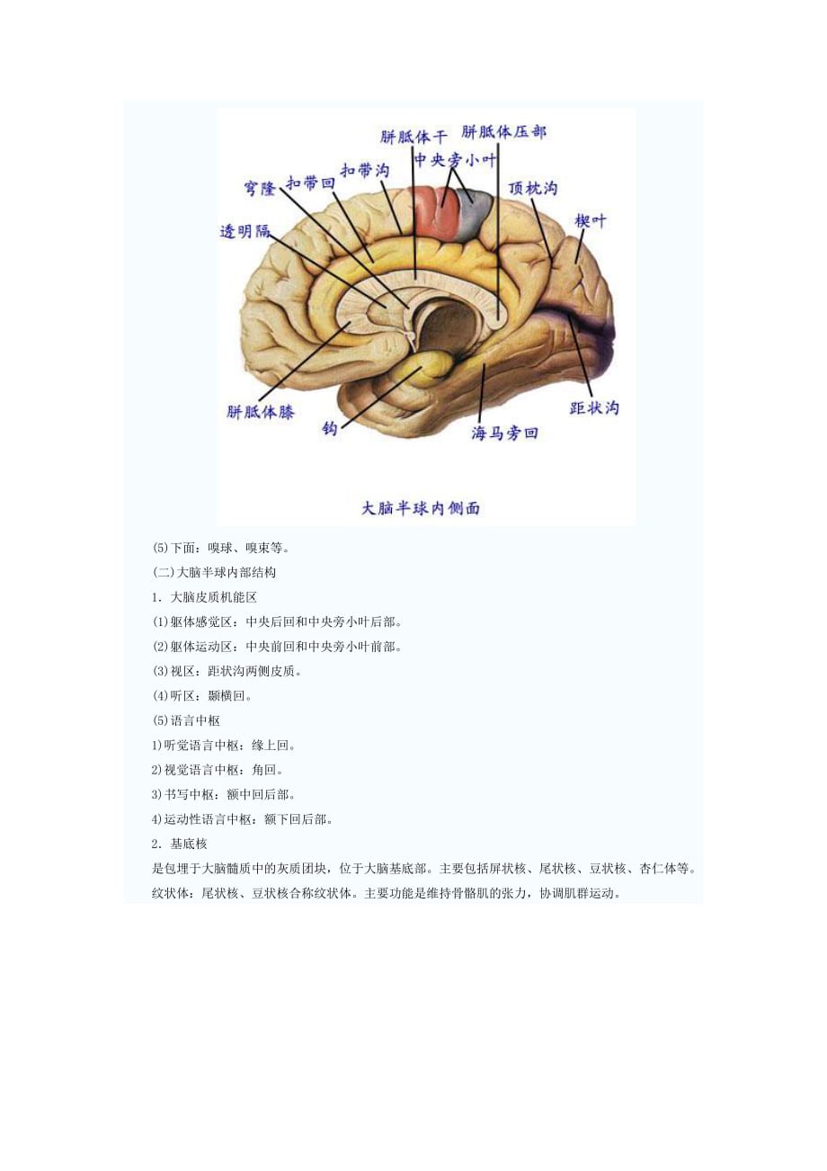 神经内科基本功7_第2页