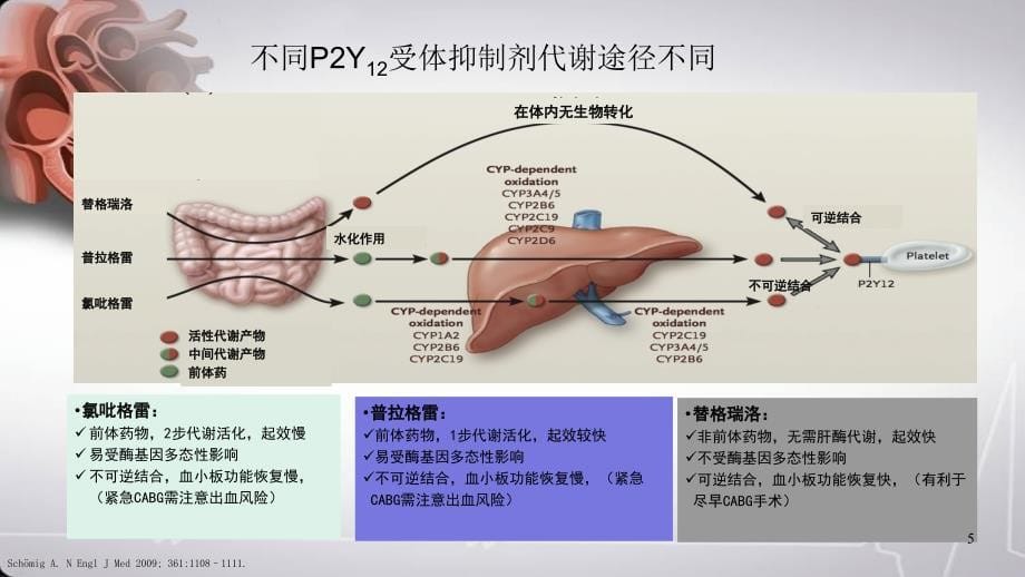 （优质医学）ESC冠心病患者双抗治疗指南简读_第5页