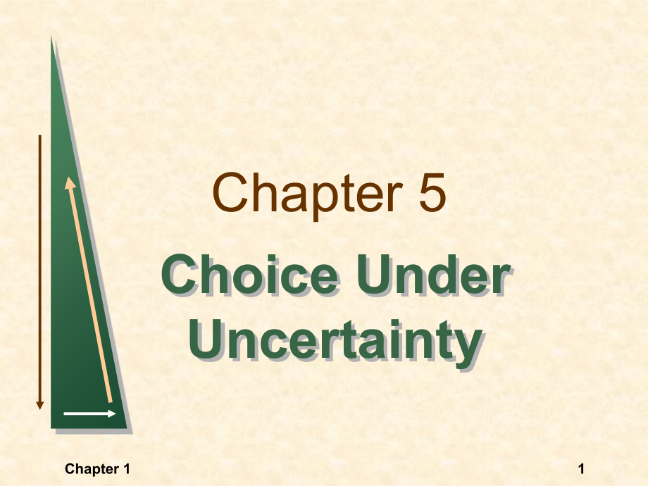 平狄克 微观经济学 第五章 Choice Under Uncertainty课件_第1页