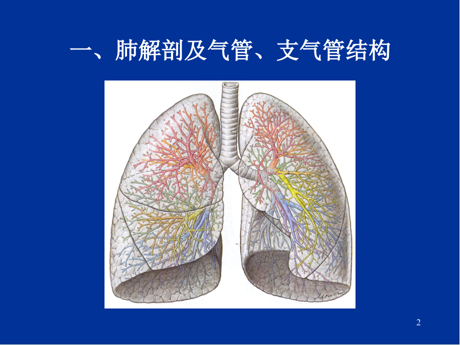 肺部影像学诊断基础幻灯片_第2页