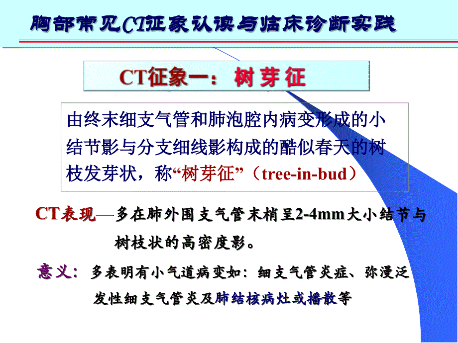 肺部CT十大征象诊断应用幻灯片_第3页