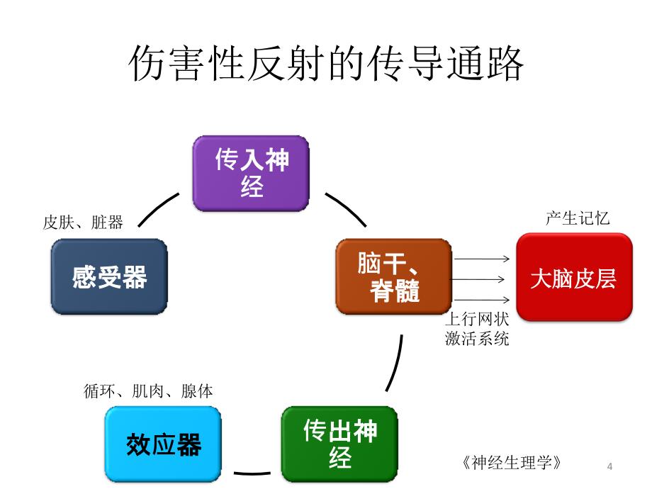 （优质医学）麻醉诱导的合理用药_第3页