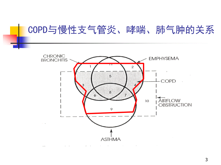 慢性阻塞性肺疾病 内科幻灯片_第3页