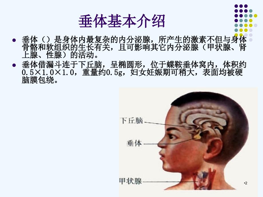 （优质医学）垂体病变MRI诊断思路(详细版)_第2页