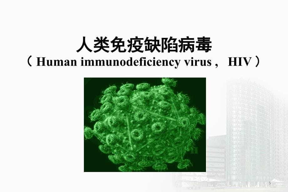 逆转录病毒幻灯片_第5页