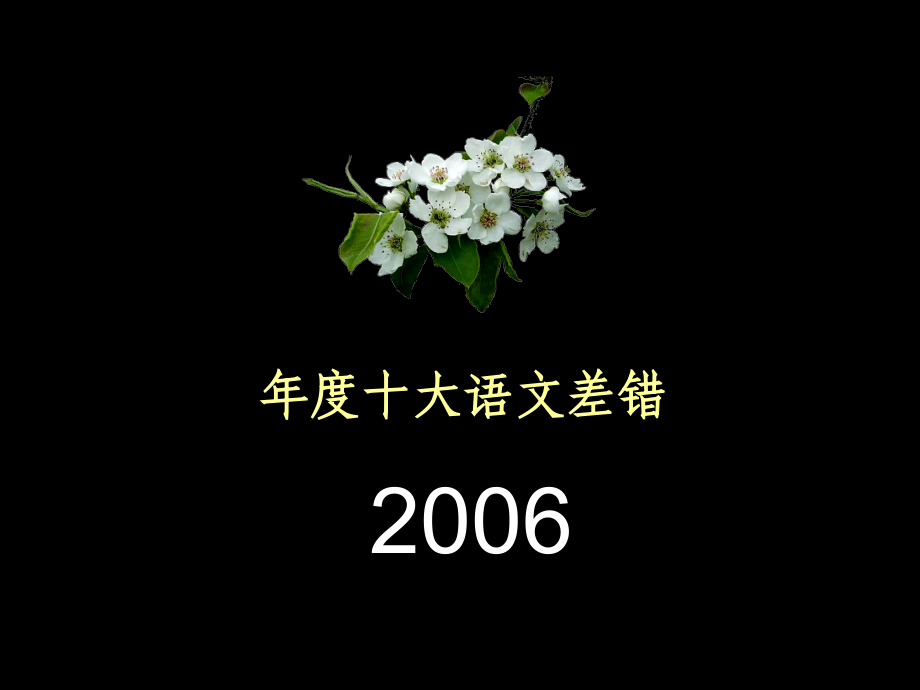 年度十大语文差错(2006-2017)课件_第2页