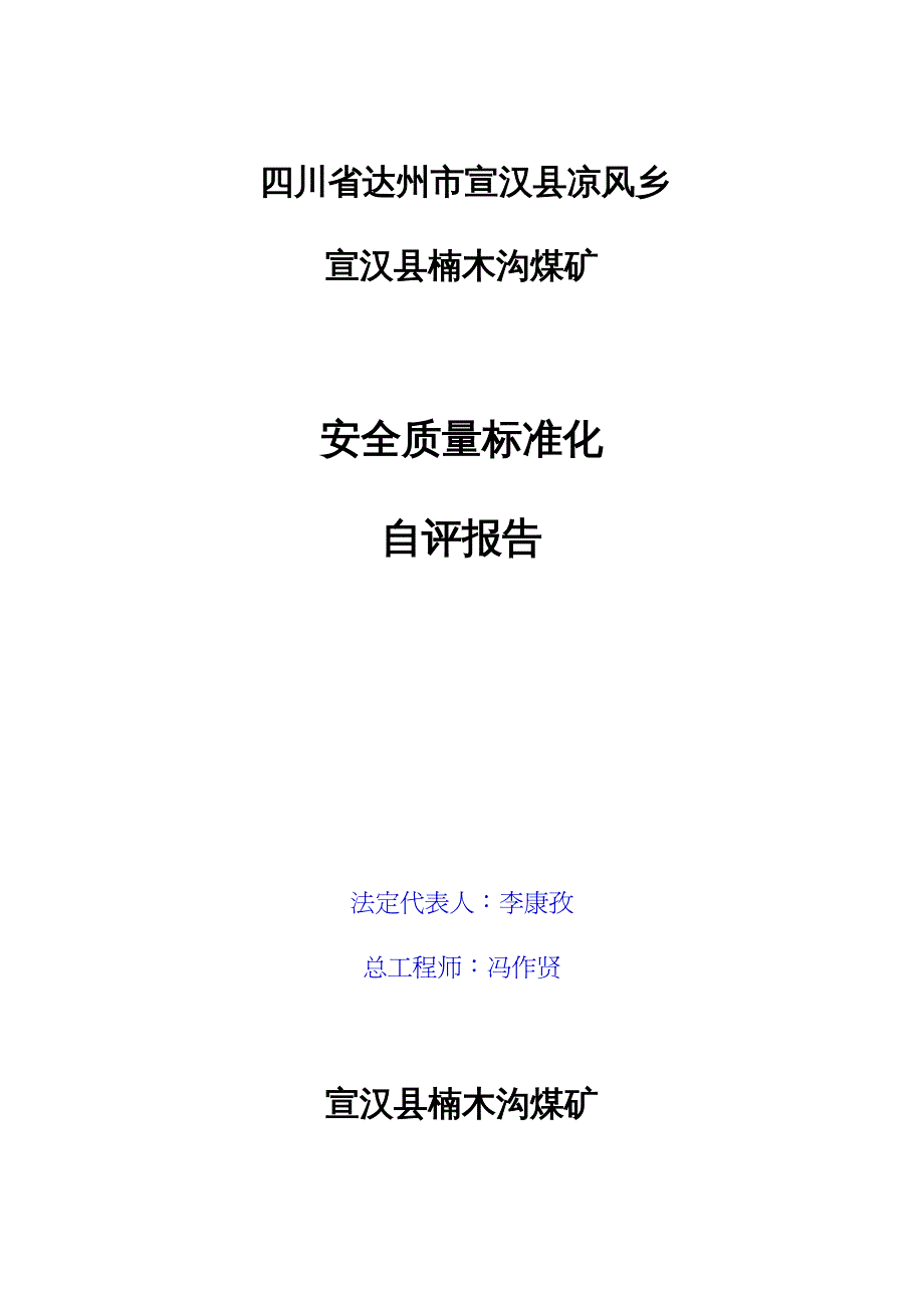 冶金行业管理煤矿安全质量标准化自评报告模板doc88页_第3页