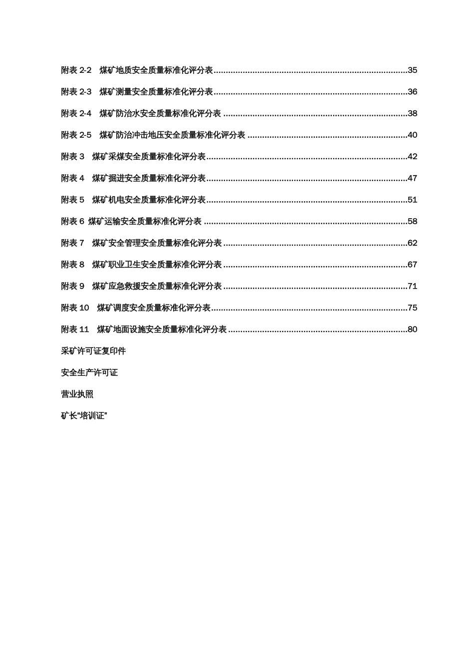 冶金行业管理煤矿安全质量标准化自评报告模板doc88页_第5页