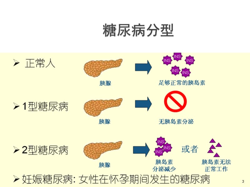 糖尿病用药幻灯片_第3页