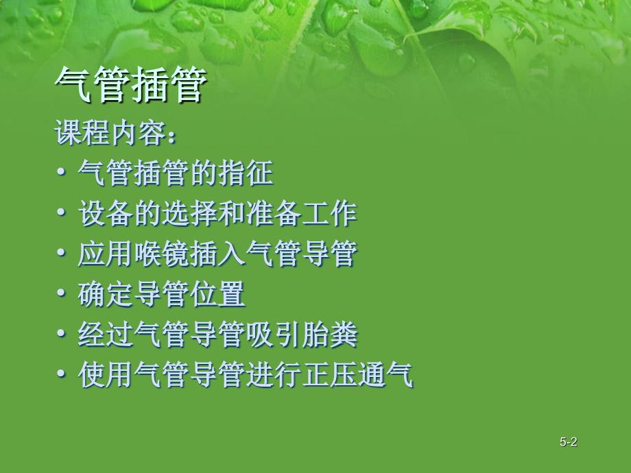 新生儿复苏：气管插管幻灯片_第2页