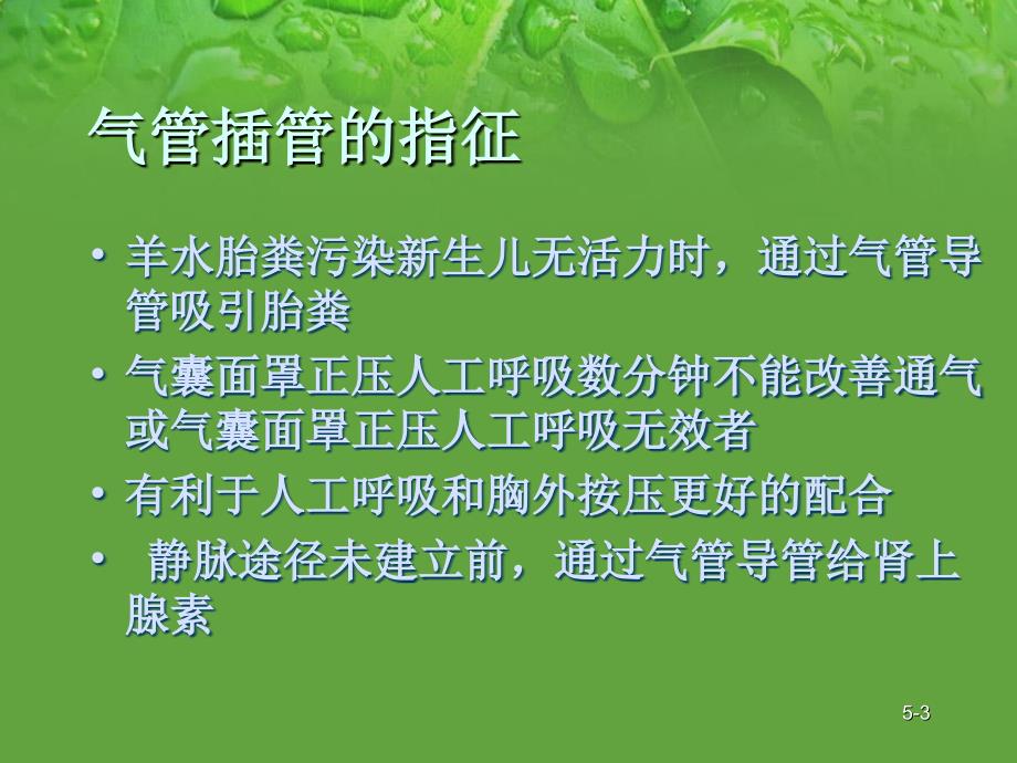 新生儿复苏：气管插管幻灯片_第3页