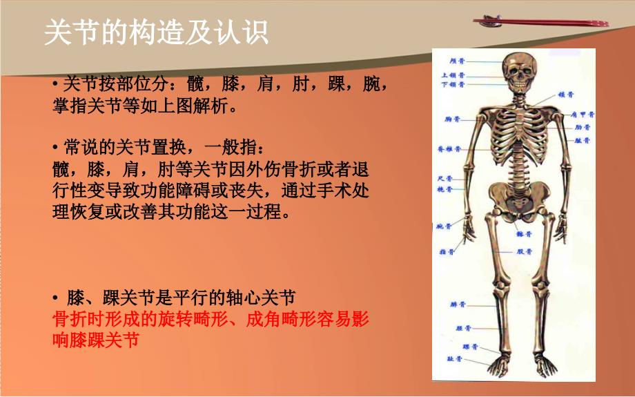 骨科植入物的分类及运用幻灯片_第3页
