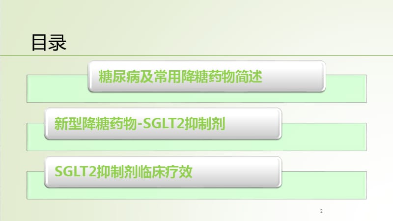 SGLT2抑制剂在糖尿病中的应用PPT参考课件_第2页