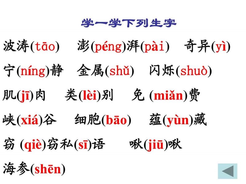 2019《海底世界》课件图文4_第2页