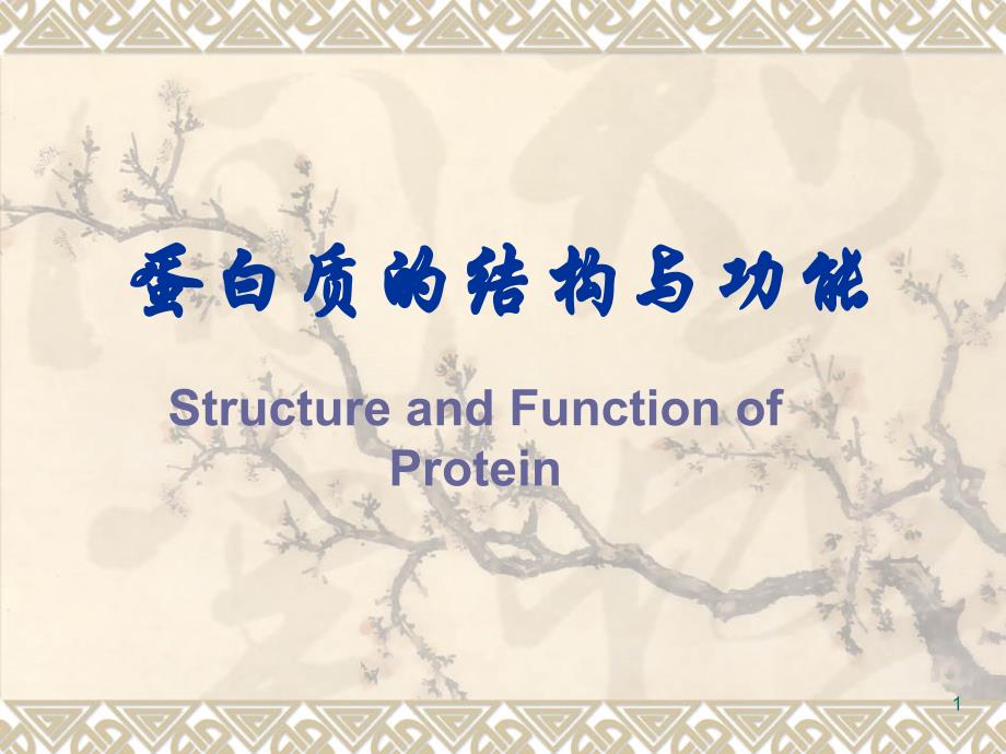 （优质医学）蛋白质_第1页