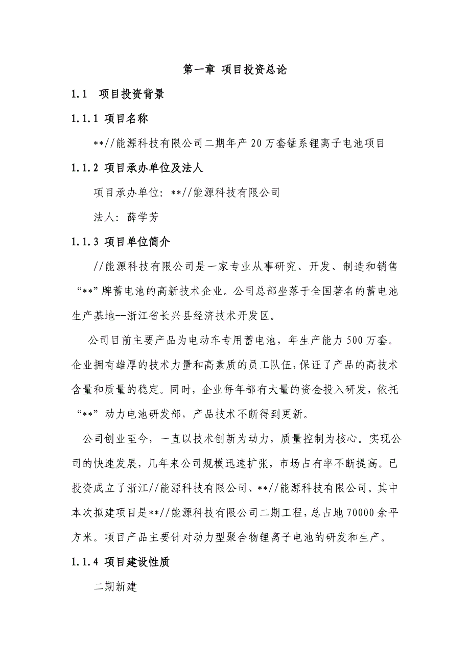 能源化工管理某能源公司锂离子动力电池项目可研报告_第3页