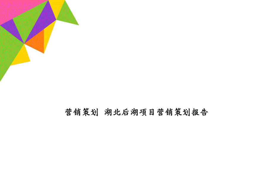 营销策划 湖北后湖项目营销策划报告_第1页