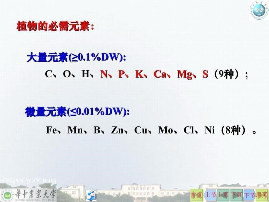 植物的矿质营养 植物生理学课件_第5页