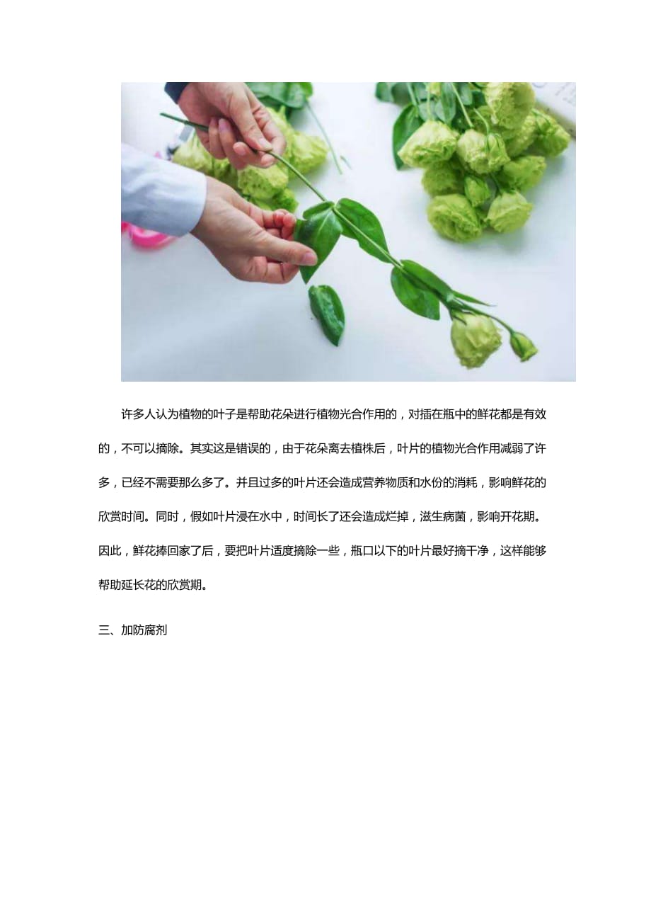 flowerplus花加：不可不知的养护鲜花常识_第3页