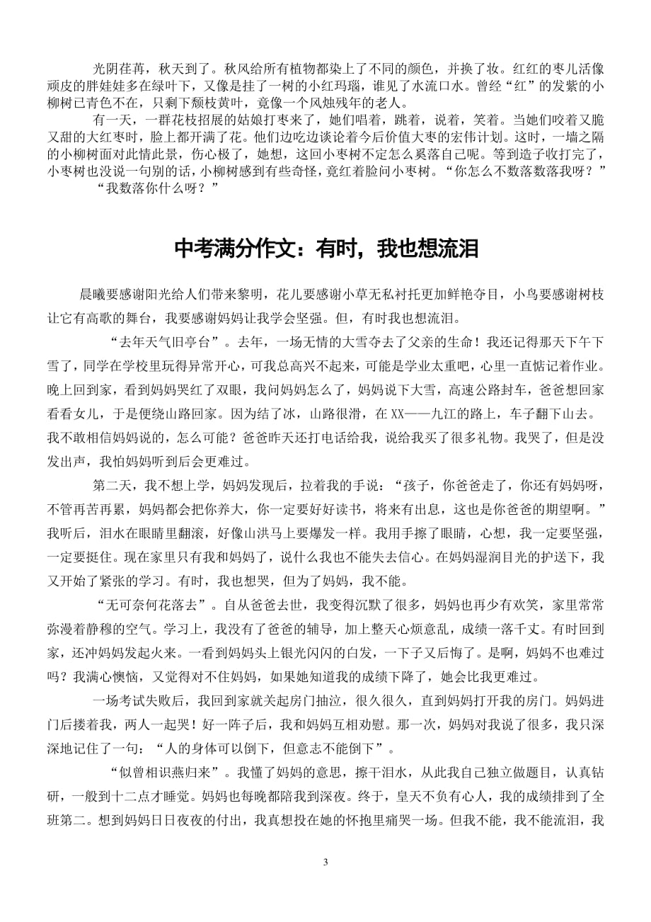 中考作文精选（2020年整理）.pdf_第3页