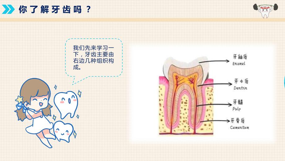 卡通动态儿童牙齿健康知识宣传_第4页