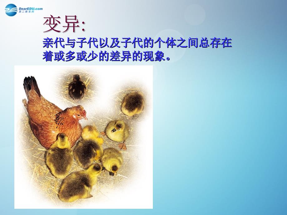 广东省江门市八年级生物下册 7.2.5 生物的变异课件 (新版)新人教版_第3页