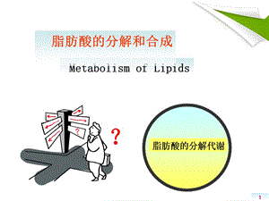 （优质医学）脂肪酸的分解β-氧化作用